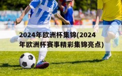 2024年欧洲杯集锦(2024年欧洲杯赛事精彩集锦亮点)