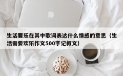 生活要乐在其中歌词表达什么情感的意思（生活需要欢乐作文500字记叙文）