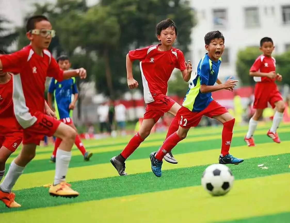 ⚽中超半场：阿布雷乌错失绝佳机会 陈蒲抽射造险 山东泰山暂0-0北京国安