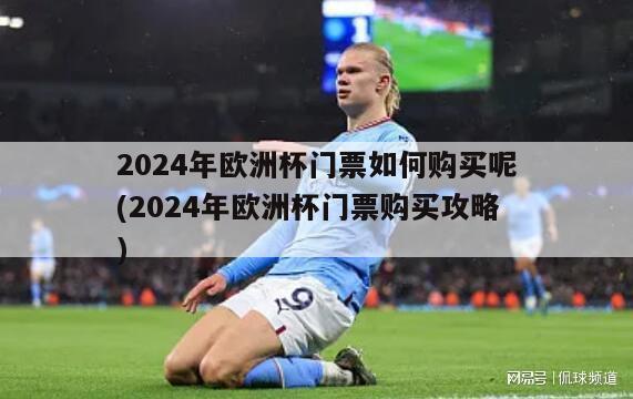 2024年欧洲杯门票如何购买呢(2024年欧洲杯门票购买攻略)