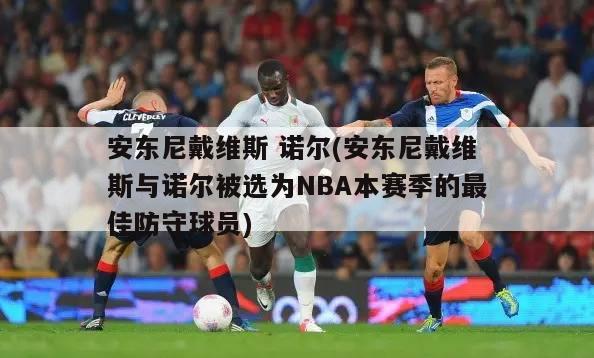 安东尼戴维斯 诺尔(安东尼戴维斯与诺尔被选为NBA本赛季的最佳防守球员)