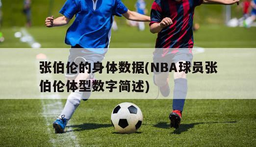 张伯伦的身体数据(NBA球员张伯伦体型数字简述)