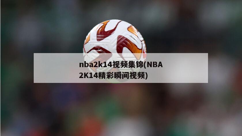 nba2k14视频集锦(NBA2K14精彩瞬间视频)