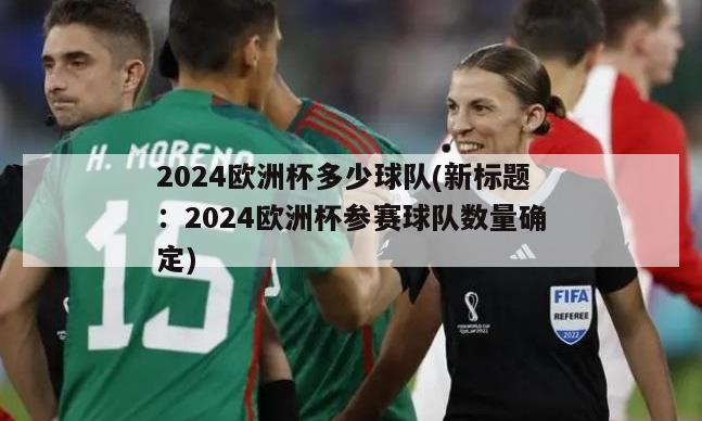 2024欧洲杯多少球队(新标题：2024欧洲杯参赛球队数量确定)