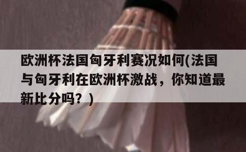 欧洲杯法国匈牙利赛况如何(法国与匈牙利在欧洲杯激战，你知道最新比分吗？)