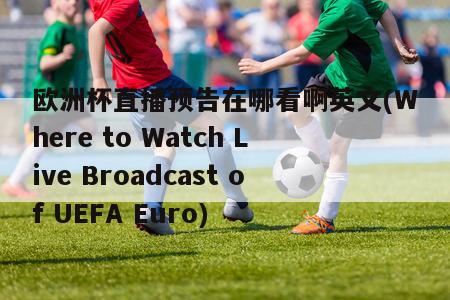 欧洲杯直播预告在哪看啊英文(Where to Watch Live Broadcast of UEFA Euro)