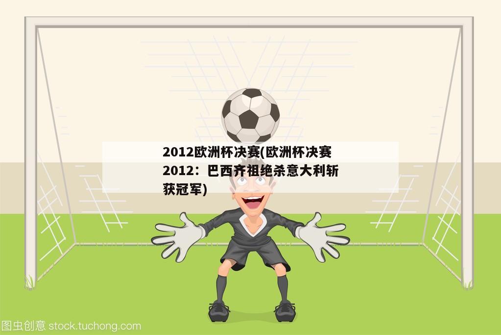 2012欧洲杯决赛(欧洲杯决赛2012：巴西齐祖绝杀意大利斩获冠军)