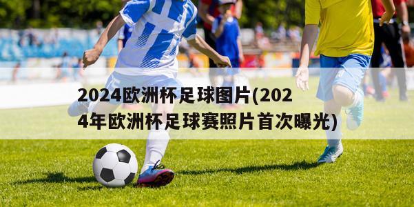 2024欧洲杯足球图片(2024年欧洲杯足球赛照片首次曝光)