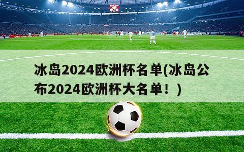 冰岛2024欧洲杯名单(冰岛公布2024欧洲杯大名单！)