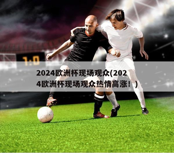 2024欧洲杯现场观众(2024欧洲杯现场观众热情高涨！)