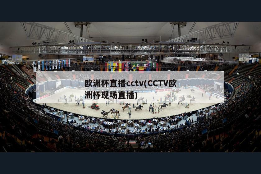 欧洲杯直播cctv(CCTV欧洲杯现场直播)