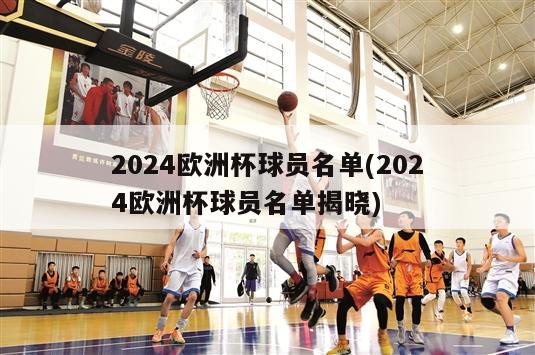 2024欧洲杯球员名单(2024欧洲杯球员名单揭晓)