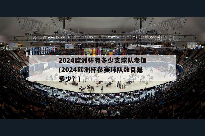 2024欧洲杯有多少支球队参加(2024欧洲杯参赛球队数目是多少？)