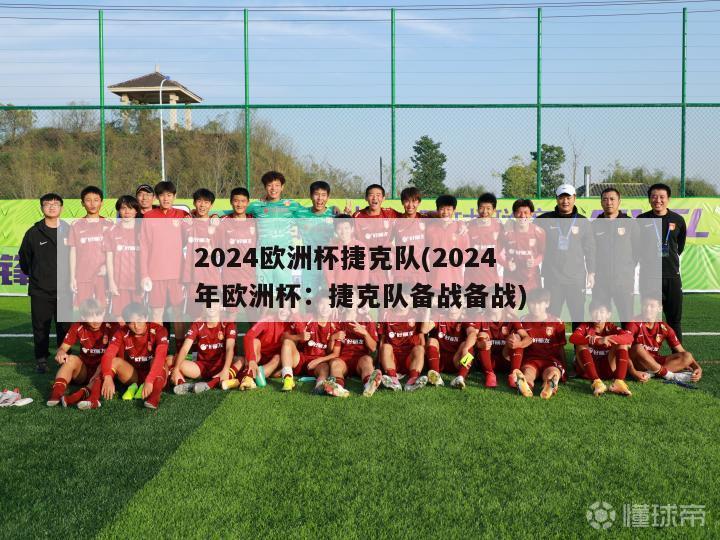 2024欧洲杯捷克队(2024年欧洲杯：捷克队备战备战)