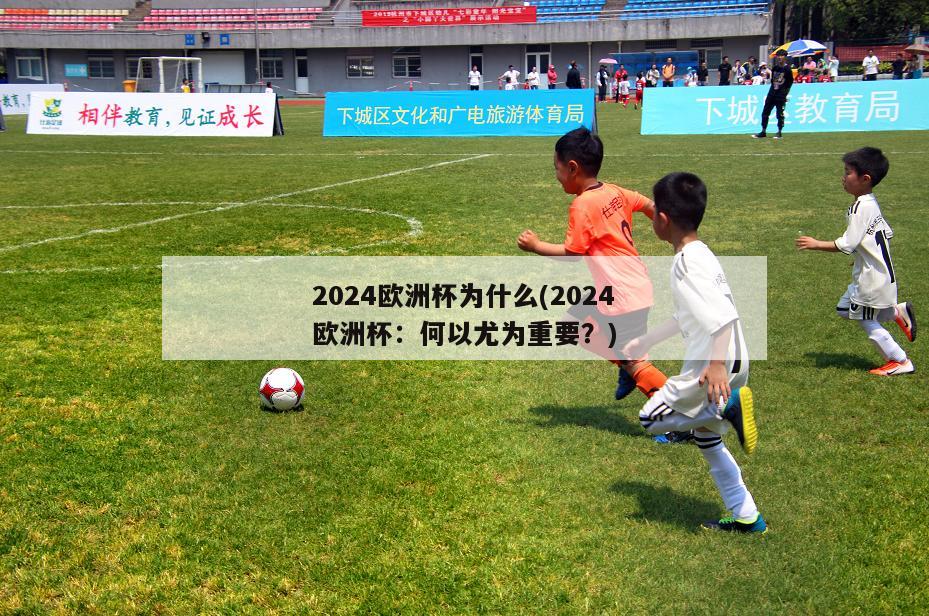 2024欧洲杯为什么(2024欧洲杯：何以尤为重要？)